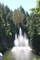 126 - Butchard Gardens  - IMG_1628